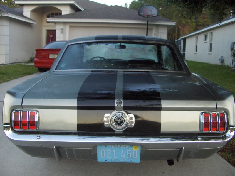rearview.jpg