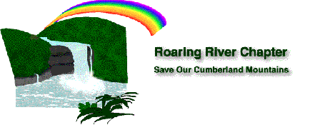 Roaring River SOCM Web logo