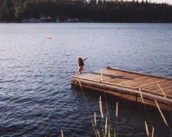 Loon2