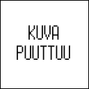 Tavallinen Raichu edest�