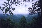 Great Smokies vista