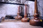 Labrot & Graham stills