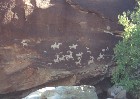 Arches Petroglyphs