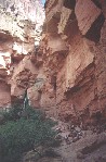 The Throne