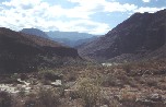 Sonoran Desert