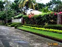 Manicured landscaping