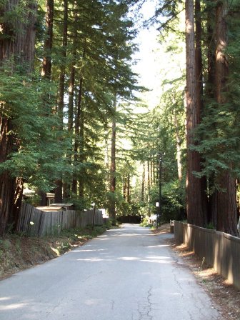 Smith Woods RV Park, Felton, CA