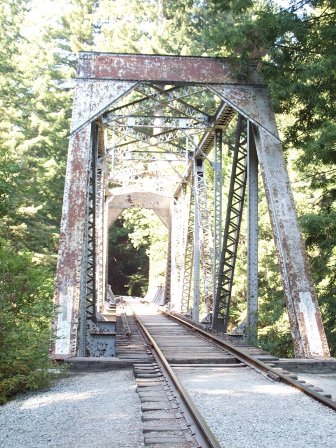 Bridge on Hiking Trail -- Not Too Safe