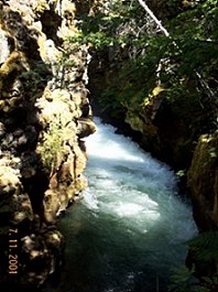 Rogue River Gorge