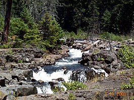 Rogue River Gorge