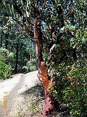 Hike at Lost Creek Lake