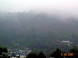 Garibaldi in the Fog