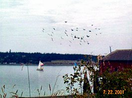 Coupeville, WA