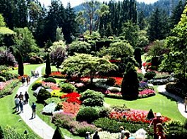 Butchart Gardens