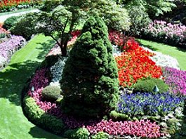 Butchart Gardens