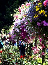 Butchart Gardens