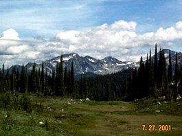 Mt Revelstoke National Park