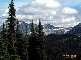 Mt Revelstoke National Park