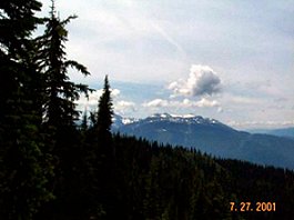Mt Revelstoke National Park
