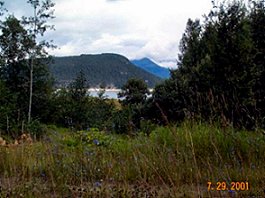 Revelstoke to Nakusp -- Columbia River