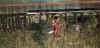 swimming3.jpg (45800 bytes)