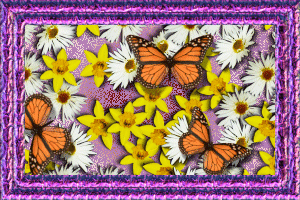 FLOWERS AND BUTTERFLIES FRAMED