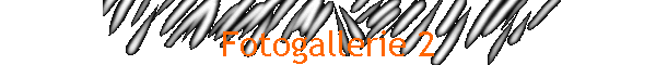 Fotogallerie 2