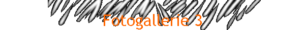Fotogallerie 3