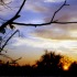 Late Autumn