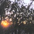 Early Autumn Sunset