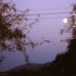 Moonshine