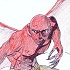 Dragonman
