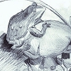[Melting Frog]