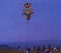 baramon flying