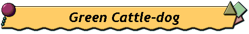Green Cattle-dog