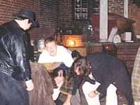 Scrappy fella, ain't he?