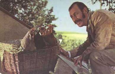 �������� �����