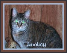 smokey