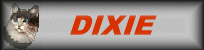 dixie