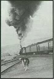 Old Shep At The Station
