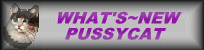 whatsnewpussycat