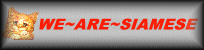 wearesiamese