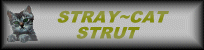 straycatstrut