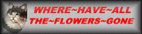 wherehaveflowersgone