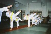  examen centura portocalie