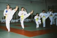 examen centura portocalie