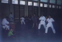 15.06.2002 examen centura galbena