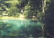 Lacul Ochiul Beiului