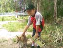 Harley and Baby Roo