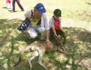 Mumand Harley with Roo